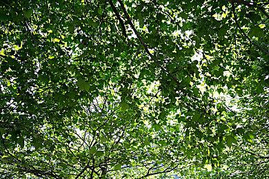 《最终幻想7：重生》小游戏里蒂法很火辣 吸引玩家目光